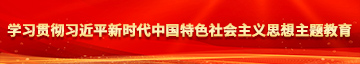 受不了了哦哦哦骚货学习贯彻习近平新时代中国特色社会主义思想主题教育